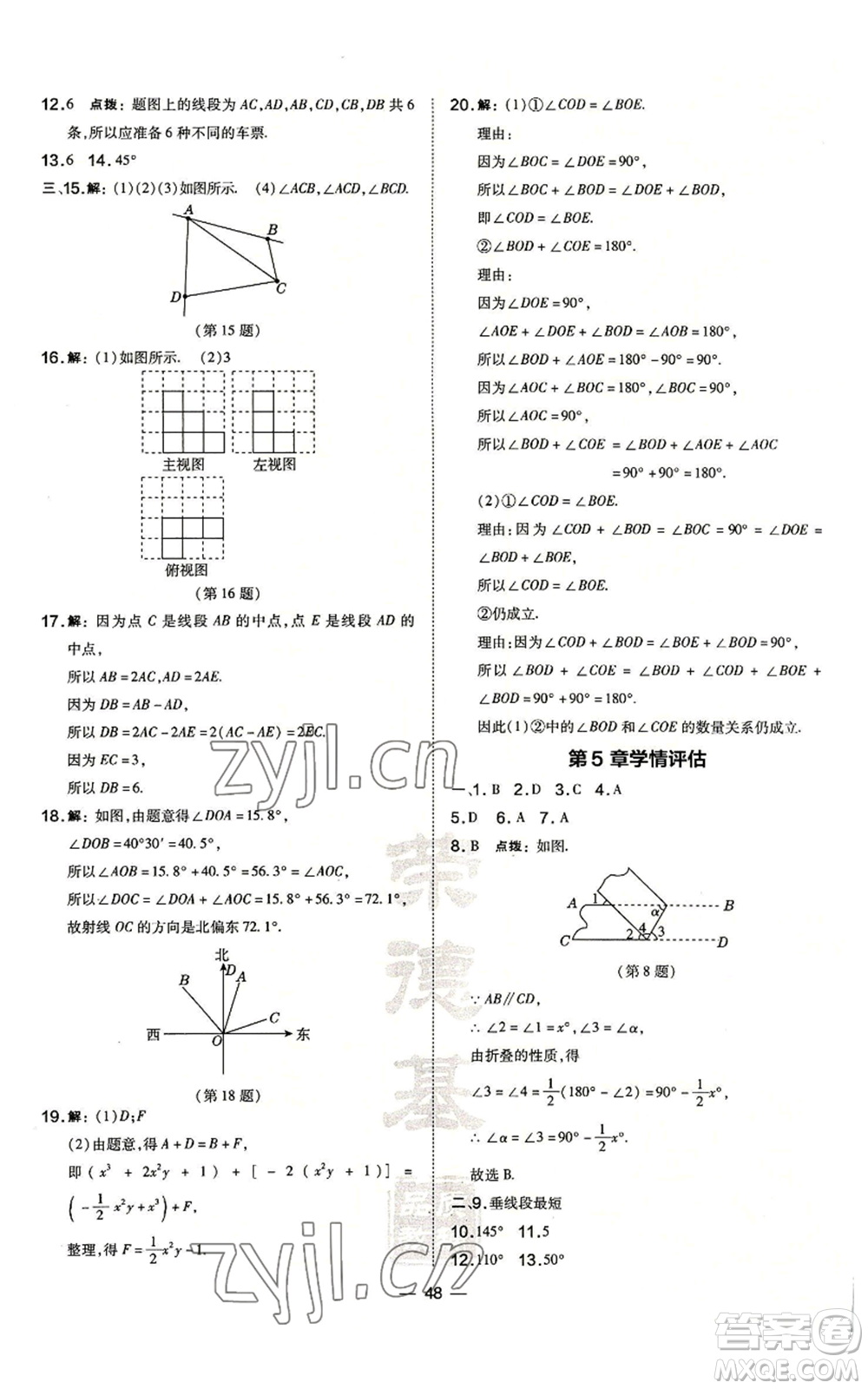 山西教育出版社2022秋季點撥訓(xùn)練七年級上冊數(shù)學(xué)華師大版參考答案