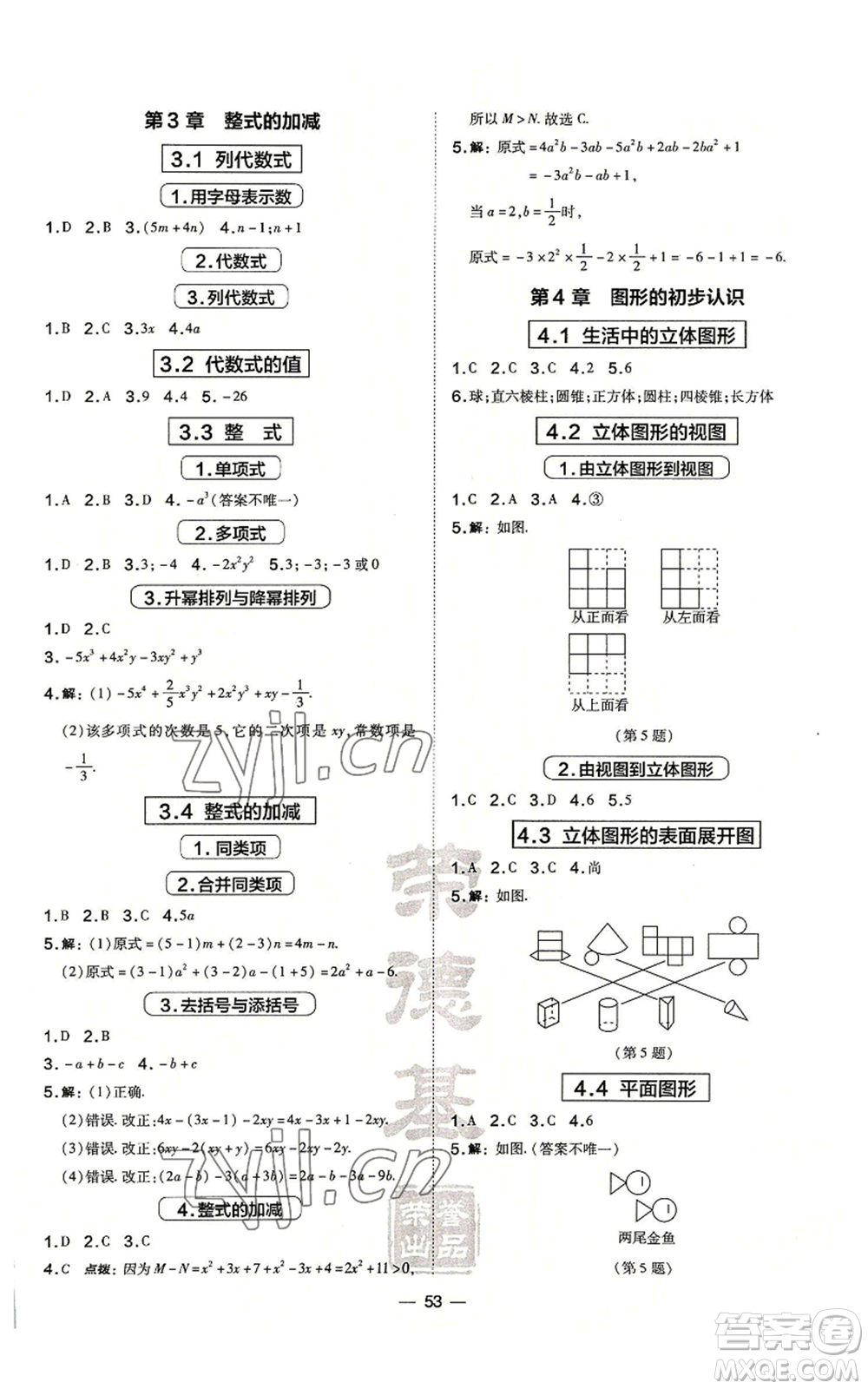 山西教育出版社2022秋季點撥訓(xùn)練七年級上冊數(shù)學(xué)華師大版參考答案