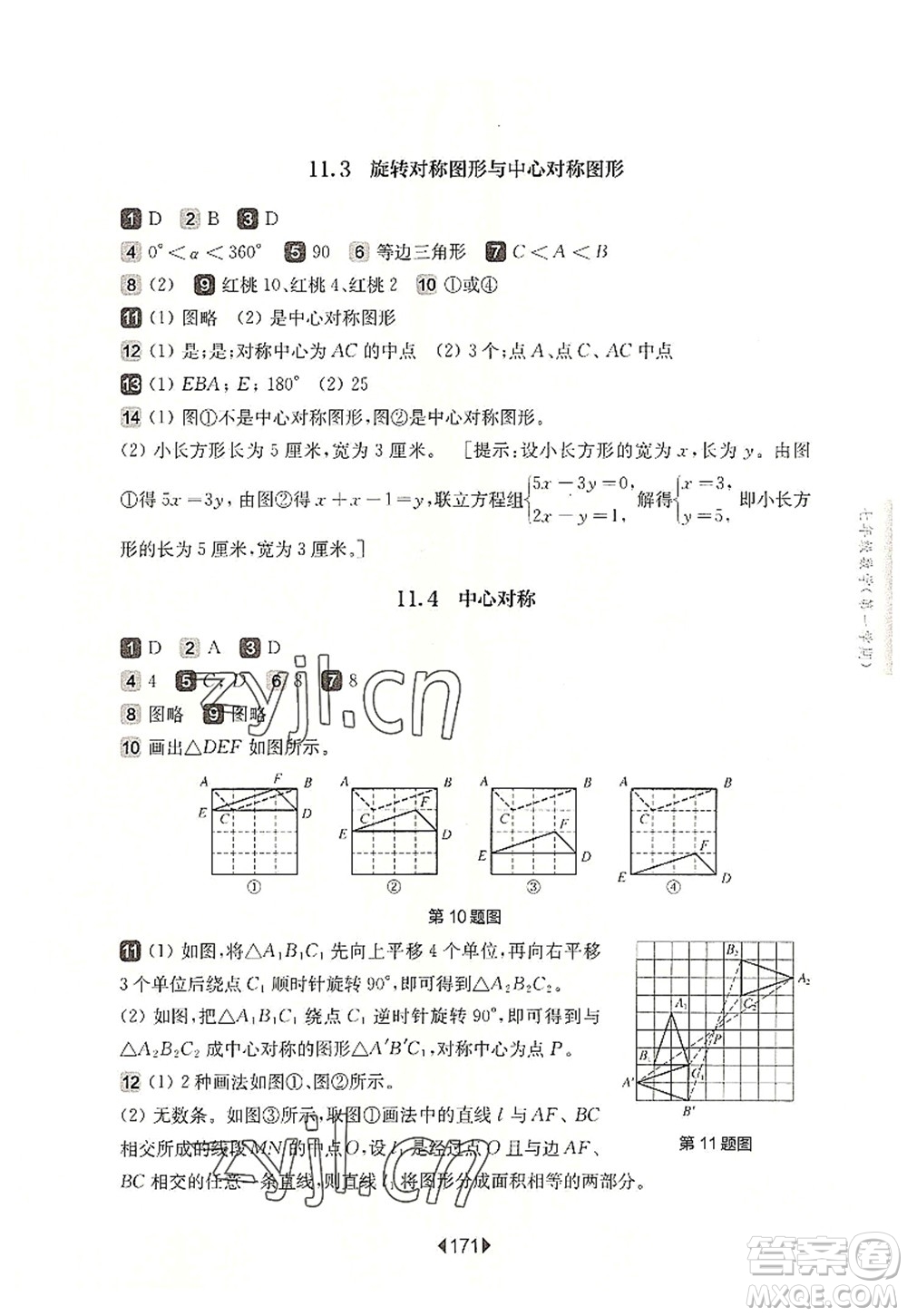 華東師范大學出版社2022一課一練七年級數(shù)學第一學期華東師大版上海專用答案