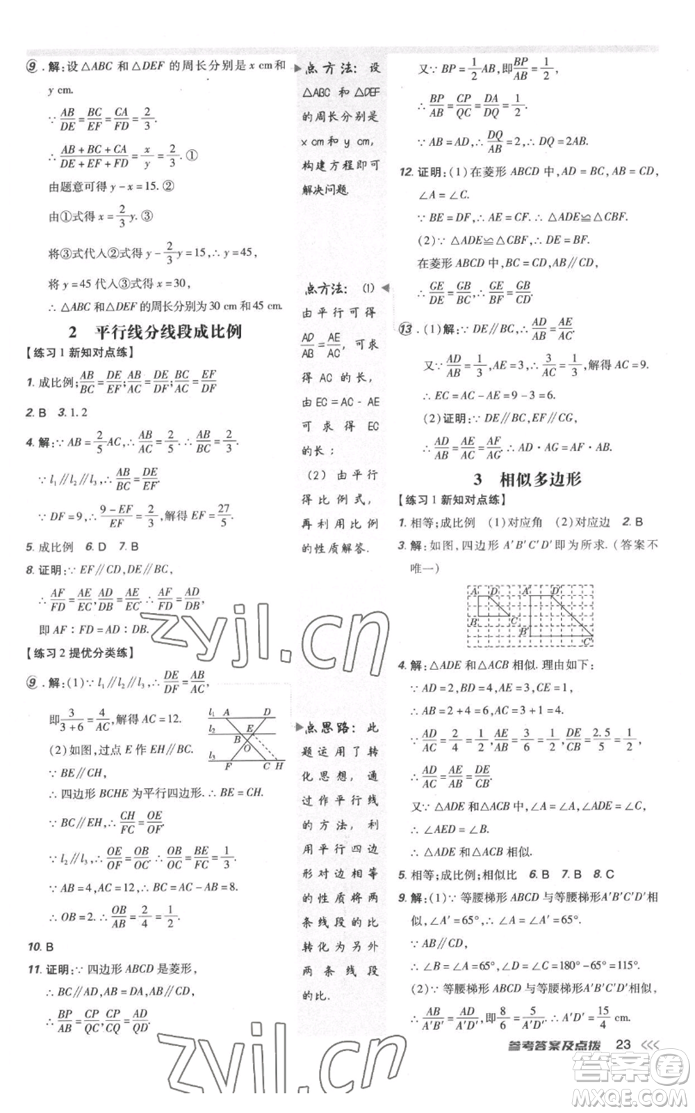 安徽教育出版社2022秋季點撥訓練九年級上冊數(shù)學北師大版參考答案