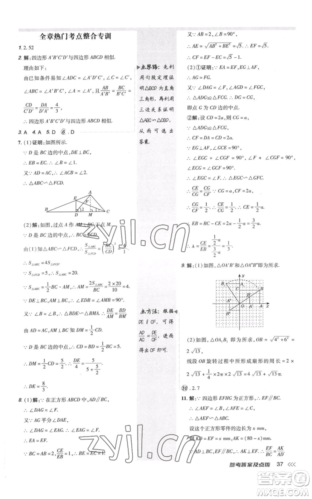 安徽教育出版社2022秋季點撥訓練九年級上冊數(shù)學北師大版參考答案