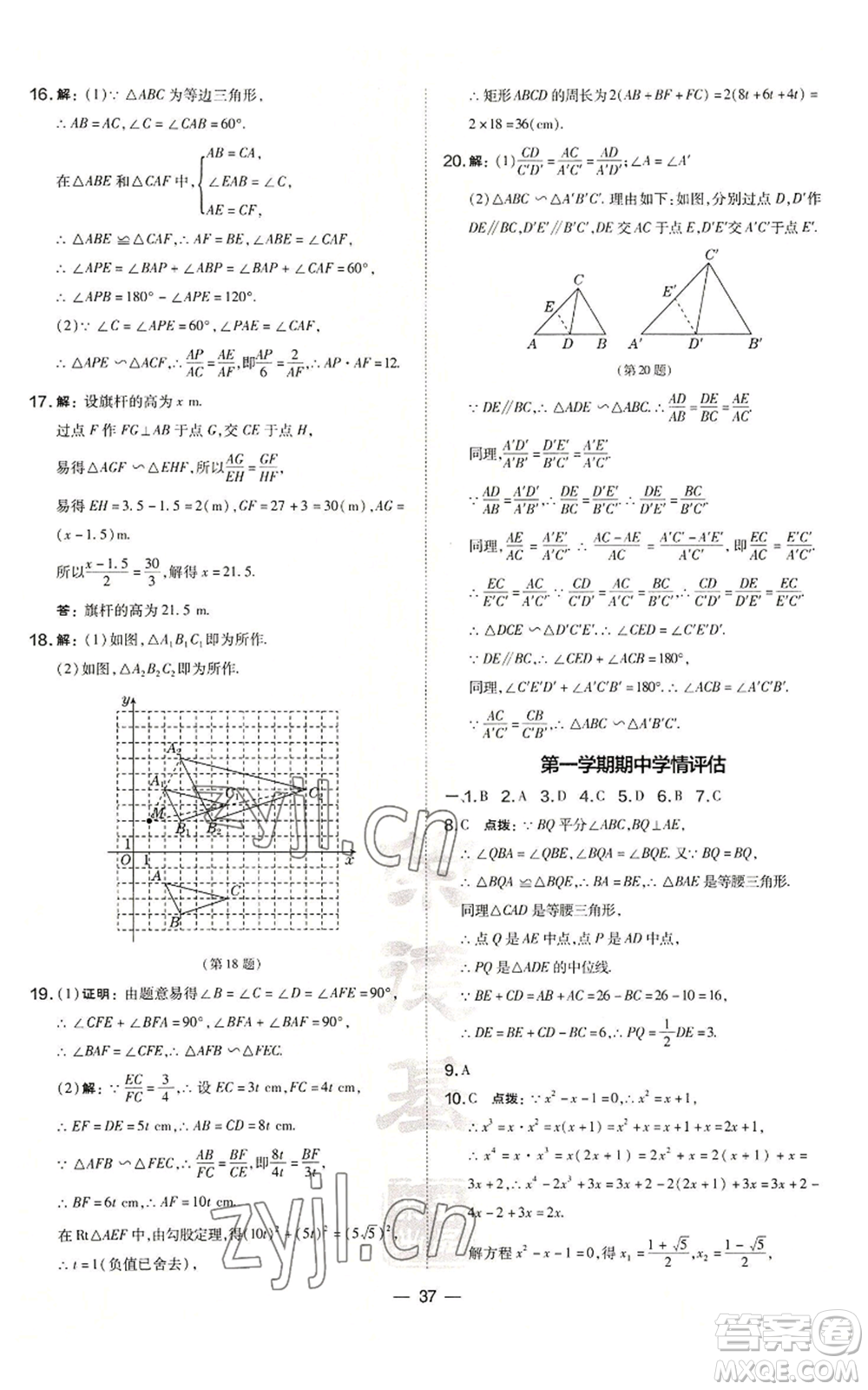 山西教育出版社2022秋季點撥訓練九年級上冊數(shù)學華師大版參考答案