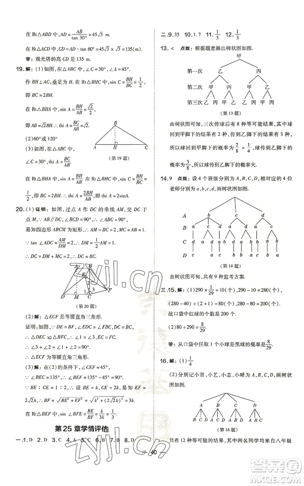 山西教育出版社2022秋季點撥訓練九年級上冊數(shù)學華師大版參考答案