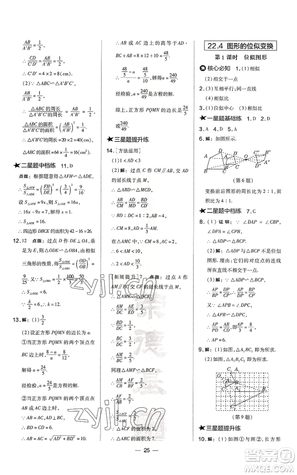 山西教育出版社2022秋季點(diǎn)撥訓(xùn)練九年級上冊數(shù)學(xué)滬科版安徽專用參考答案