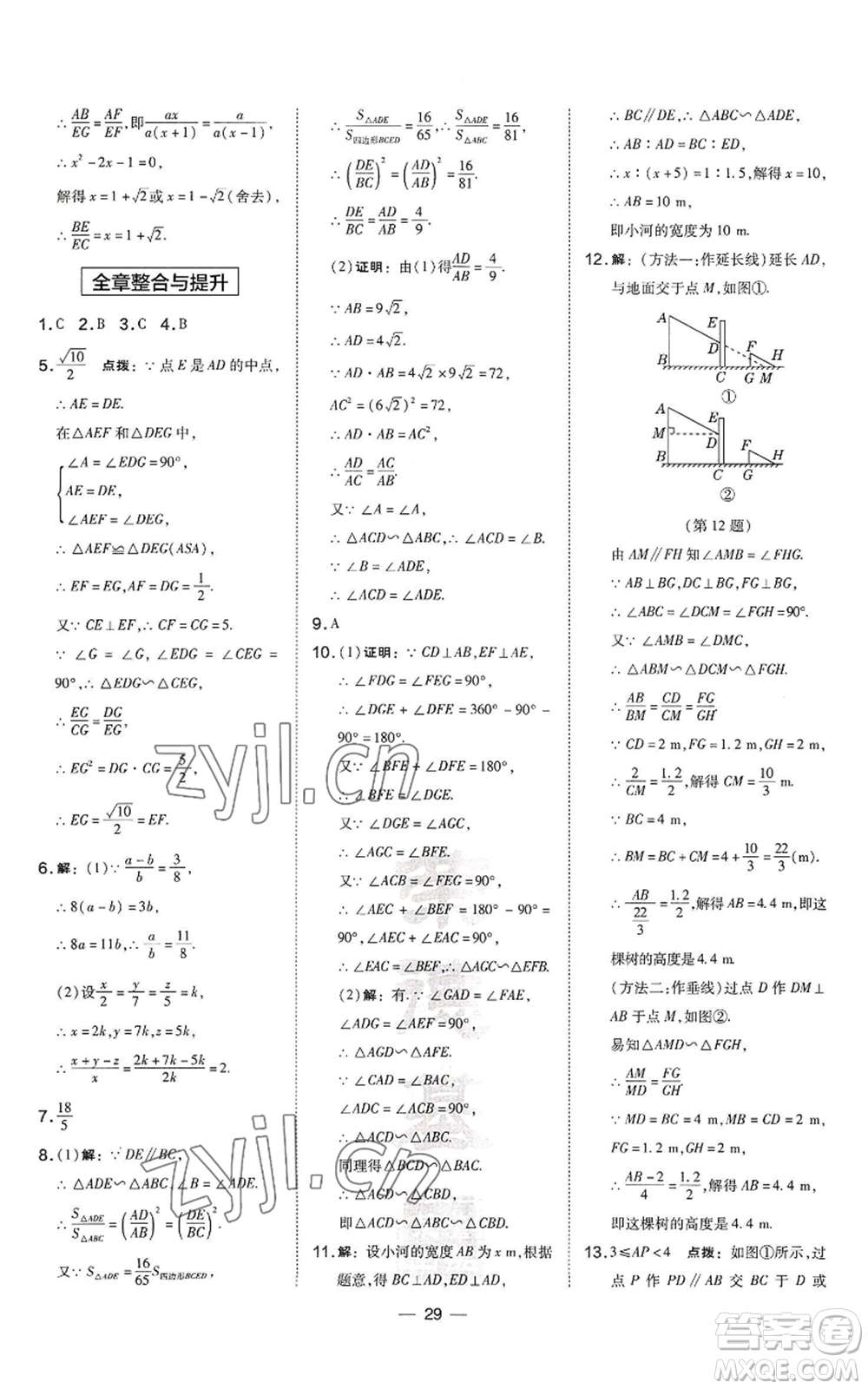 山西教育出版社2022秋季點(diǎn)撥訓(xùn)練九年級上冊數(shù)學(xué)滬科版安徽專用參考答案