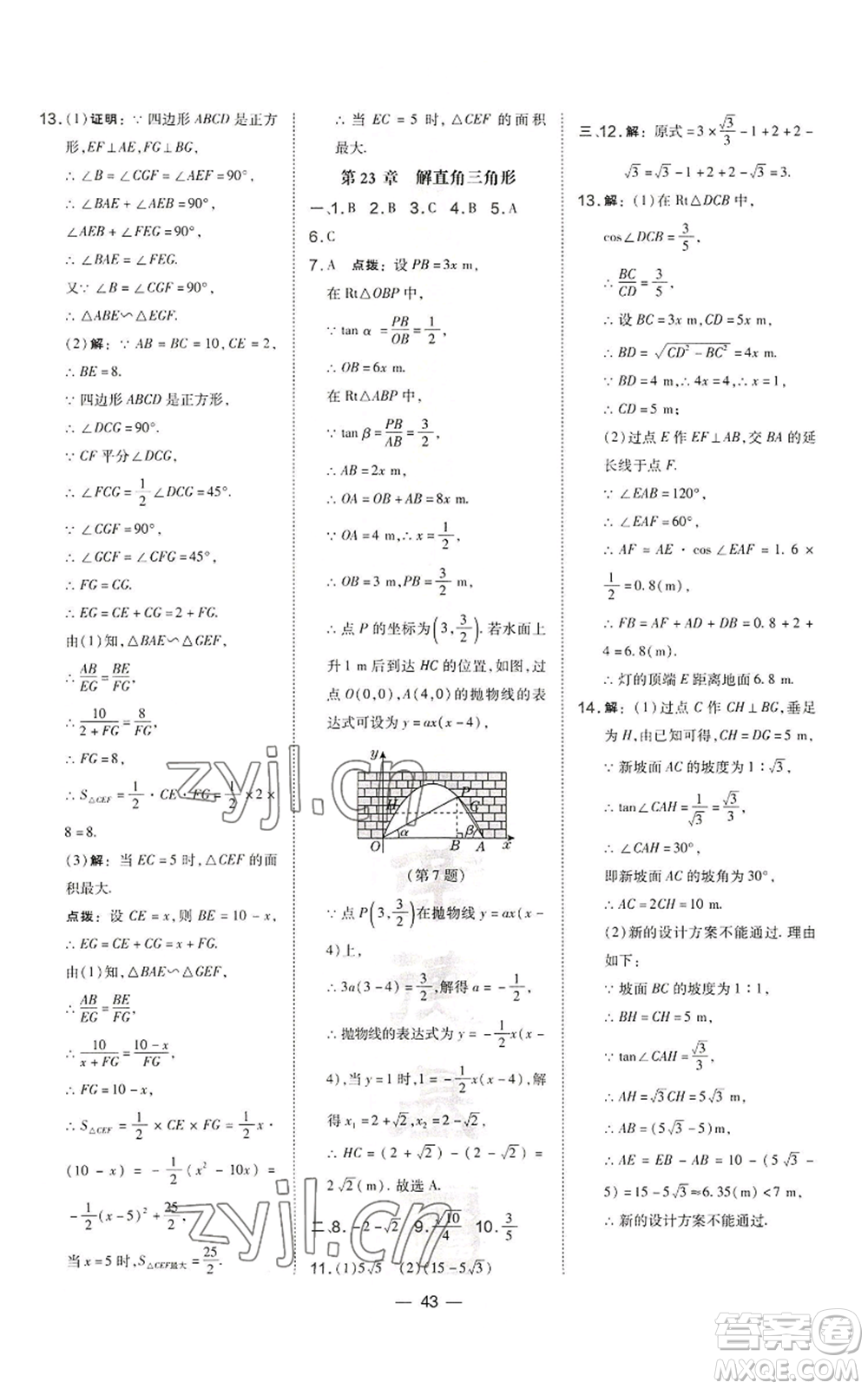 山西教育出版社2022秋季點(diǎn)撥訓(xùn)練九年級上冊數(shù)學(xué)滬科版安徽專用參考答案