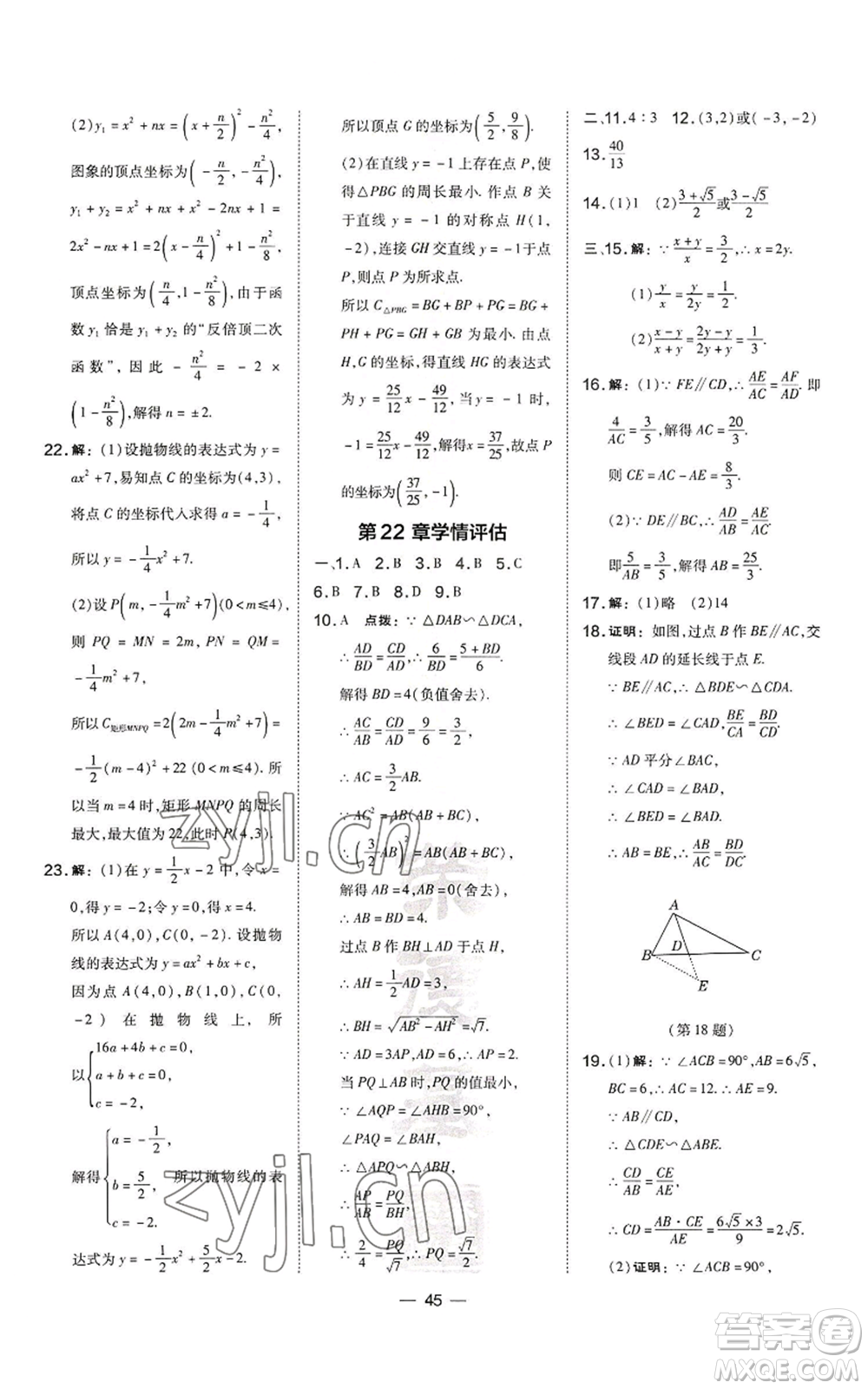 山西教育出版社2022秋季點(diǎn)撥訓(xùn)練九年級上冊數(shù)學(xué)滬科版安徽專用參考答案