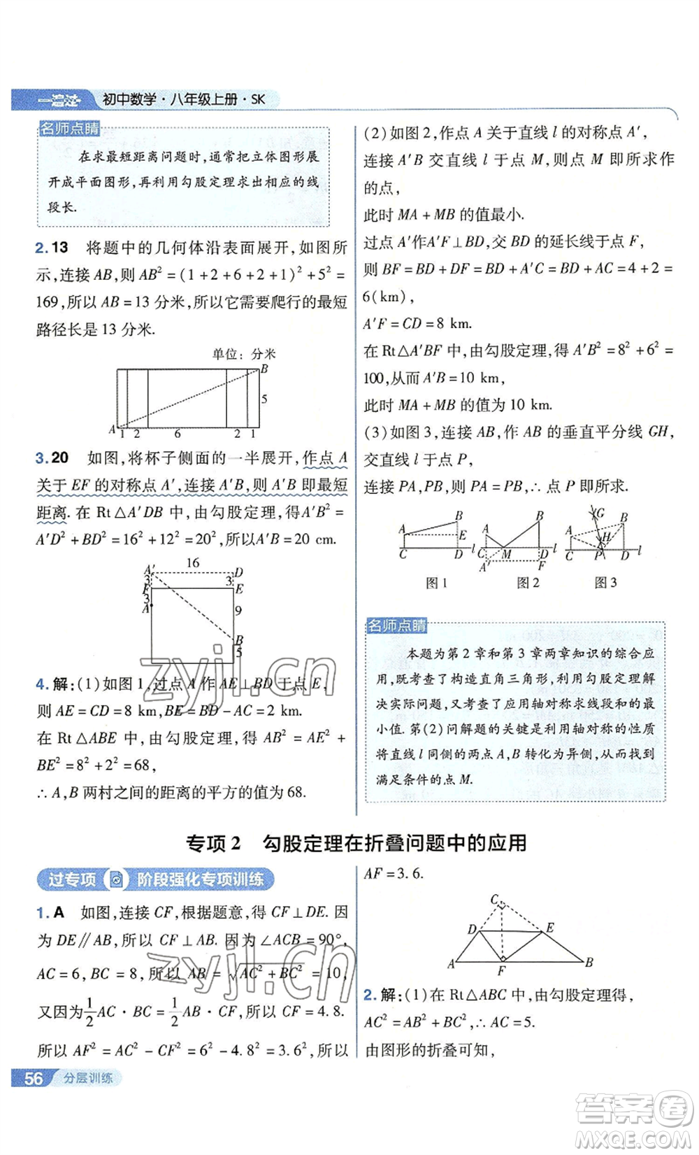 南京師范大學(xué)出版社2022秋季一遍過(guò)八年級(jí)上冊(cè)數(shù)學(xué)蘇科版參考答案