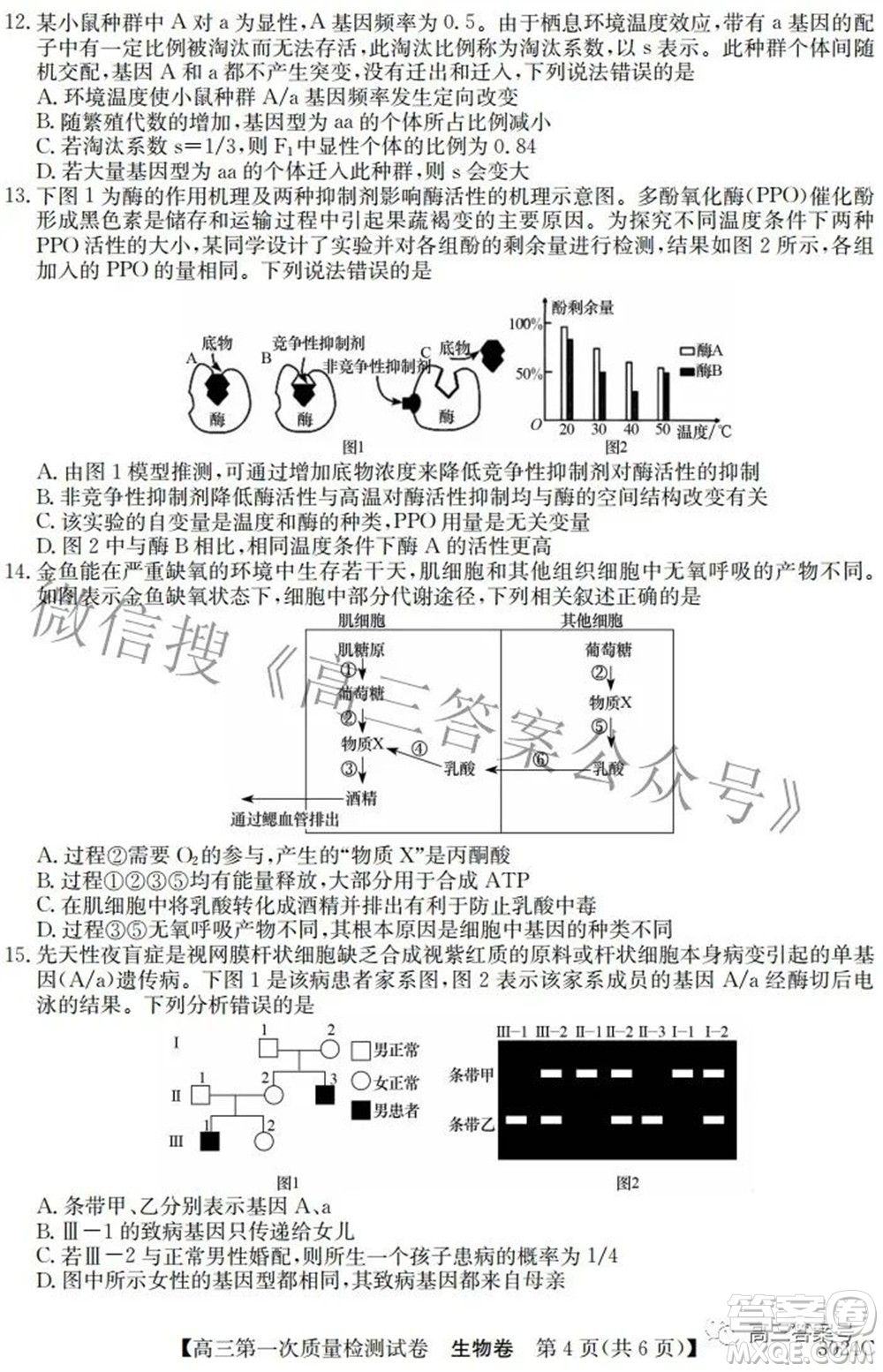 2023屆惠陽中山龍門中學(xué)惠舟仲愷中學(xué)三校高三第一次質(zhì)量檢測試卷生物試題及答案