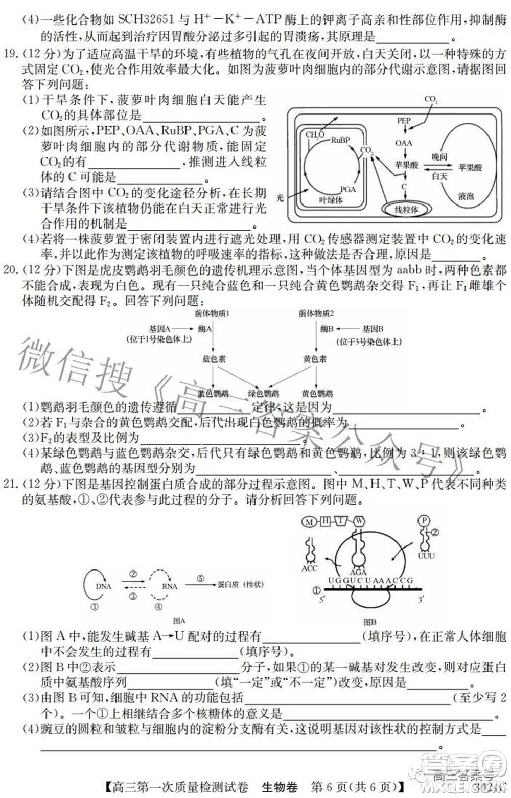 2023屆惠陽中山龍門中學(xué)惠舟仲愷中學(xué)三校高三第一次質(zhì)量檢測試卷生物試題及答案