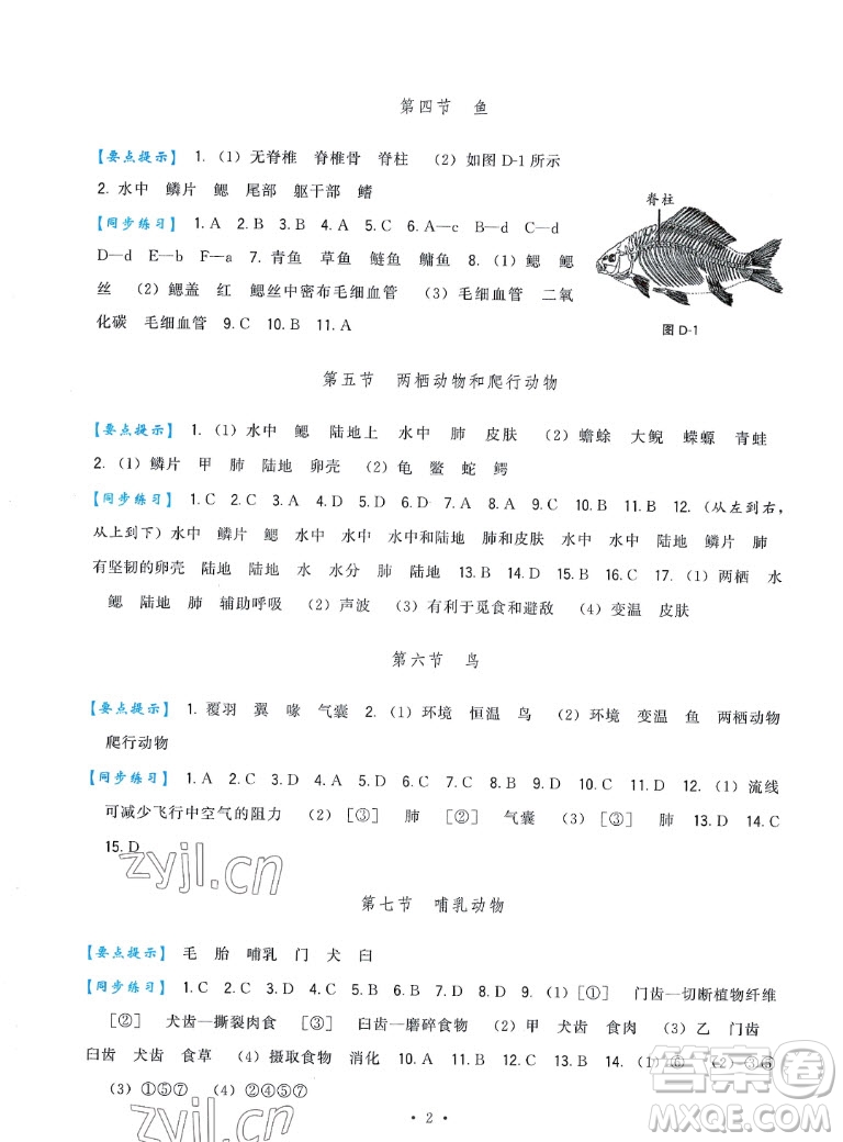 福建人民出版社2022秋頂尖課課練生物八年級(jí)上冊(cè)人教版答案