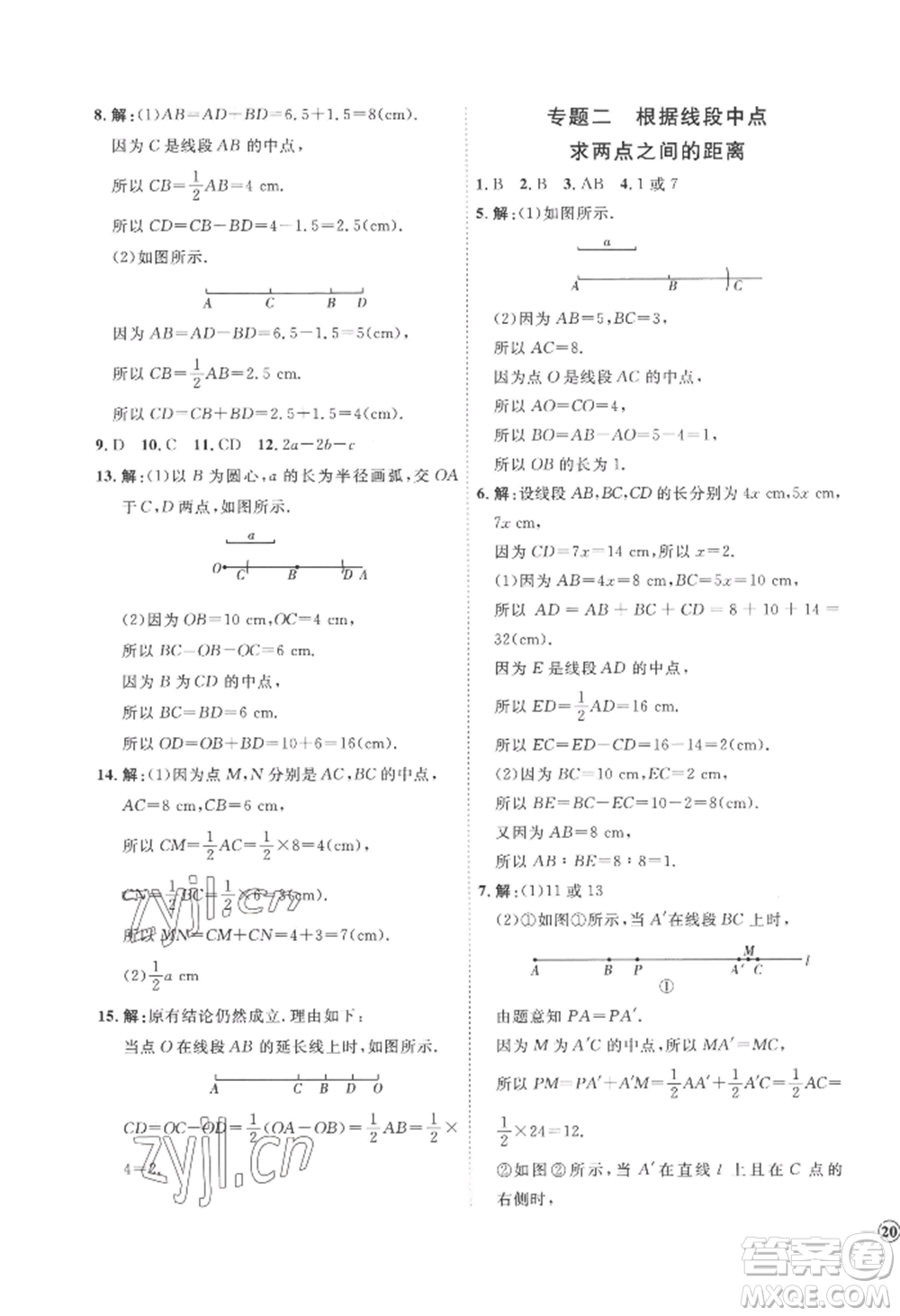 延邊教育出版社2022秋季優(yōu)+學(xué)案課時(shí)通七年級(jí)上冊(cè)數(shù)學(xué)青島版濰坊專版參考答案