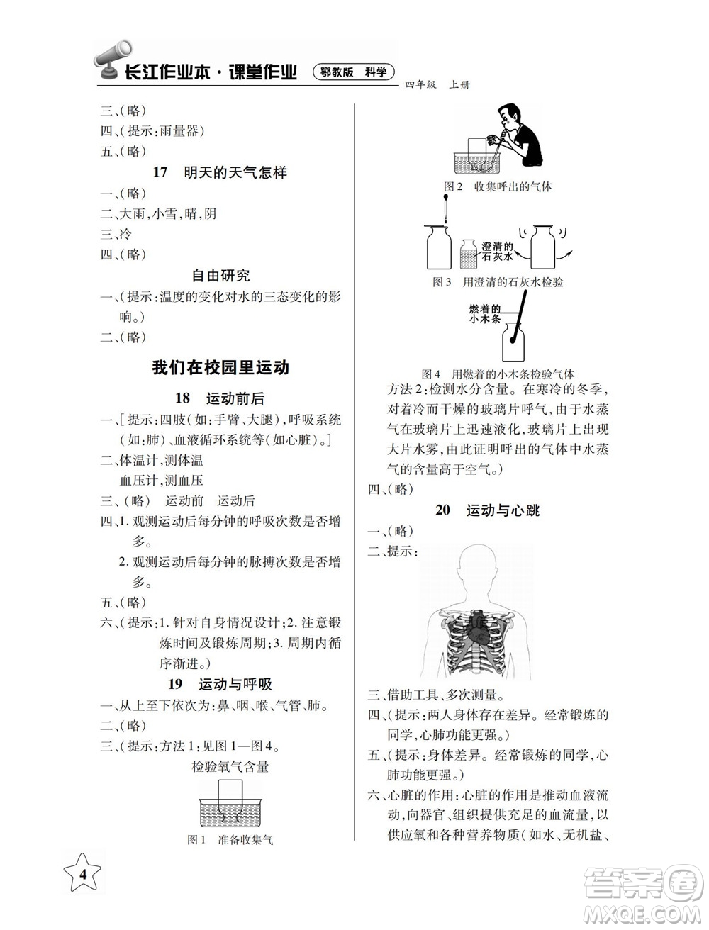 湖北教育出版社2022秋長(zhǎng)江作業(yè)本課堂作業(yè)科學(xué)四年級(jí)上冊(cè)人教鄂教版答案