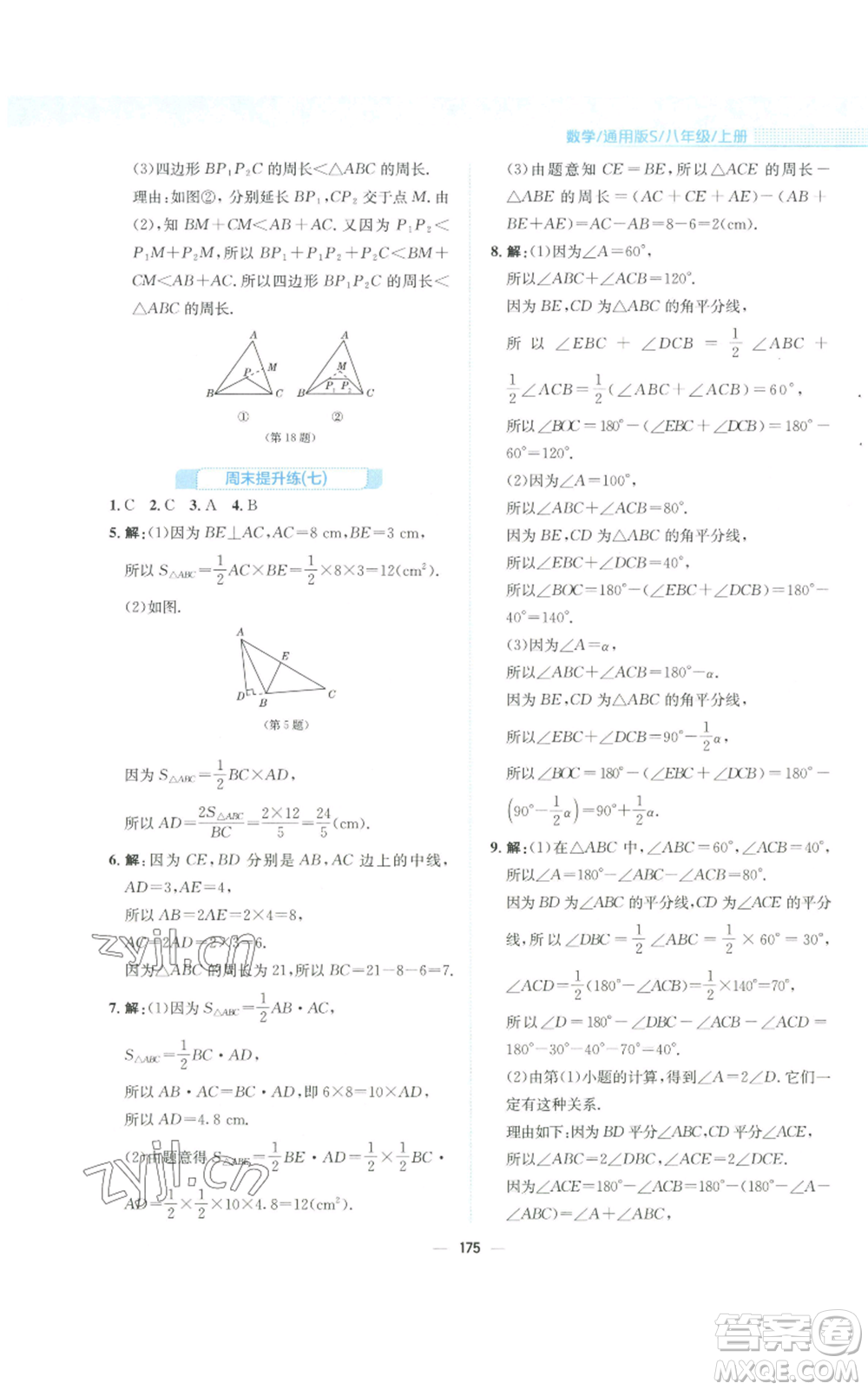 安徽教育出版社2022新編基礎(chǔ)訓(xùn)練八年級上冊數(shù)學(xué)通用版S參考答案