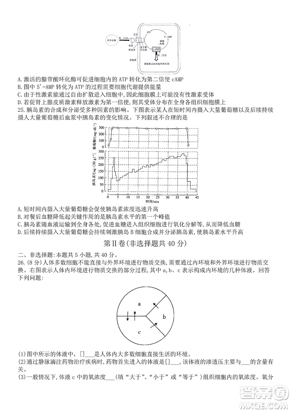 河南省創(chuàng)新聯(lián)盟2022-2023學(xué)年高二上學(xué)期第一次聯(lián)考生物試題及答案