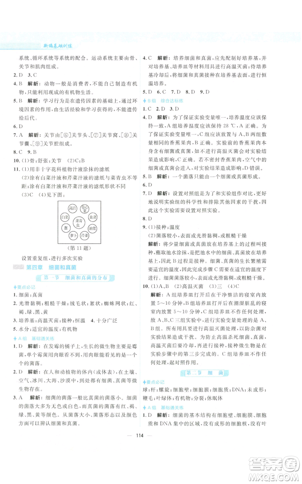 安徽教育出版社2022新編基礎(chǔ)訓(xùn)練八年級上冊生物學(xué)人教版參考答案