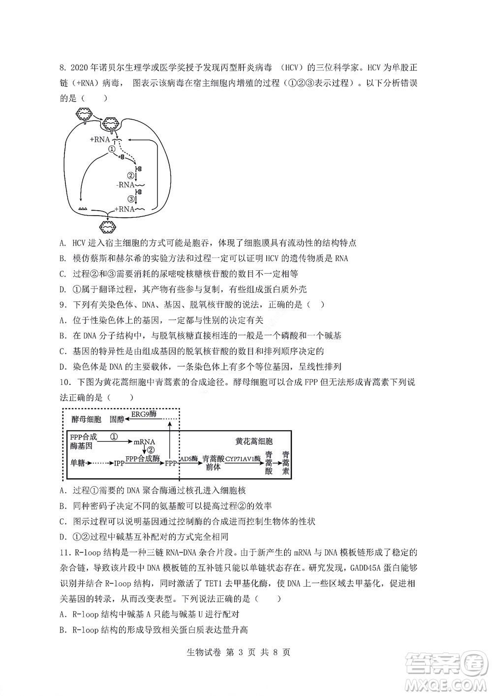 2022年湖北云學(xué)新高考聯(lián)盟學(xué)校高二年級9月聯(lián)考生物試卷及答案