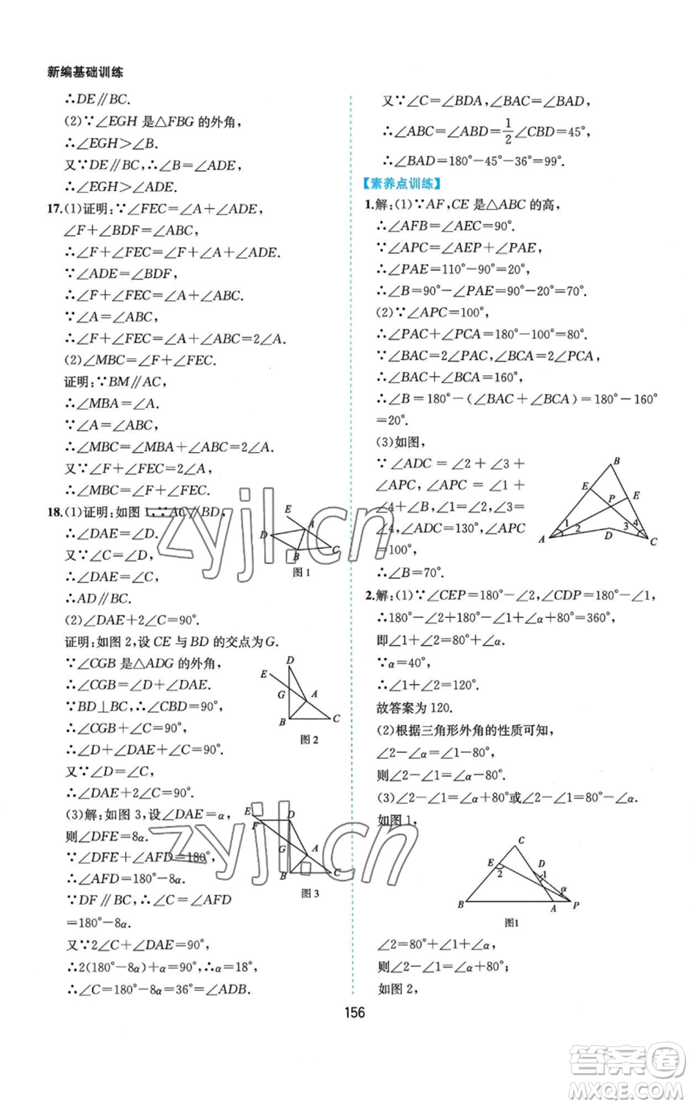 黃山書社2022新編基礎(chǔ)訓(xùn)練八年級(jí)上冊(cè)數(shù)學(xué)滬科版參考答案