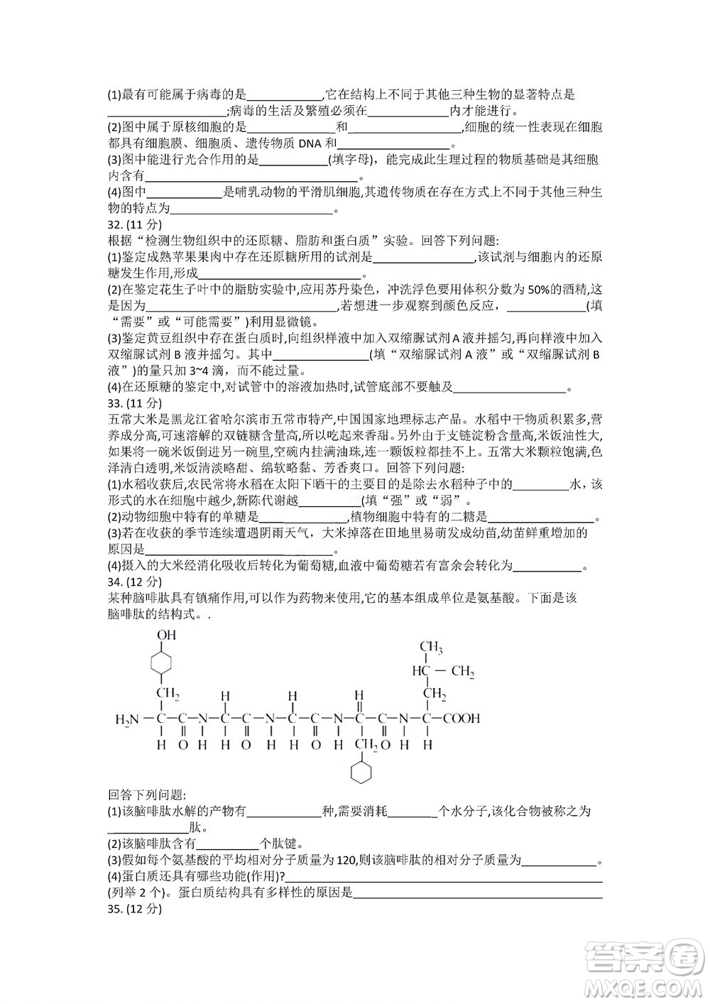 湖南省部分學(xué)校2022-2023學(xué)年度上學(xué)期高一年級一調(diào)考試生物試題及答案