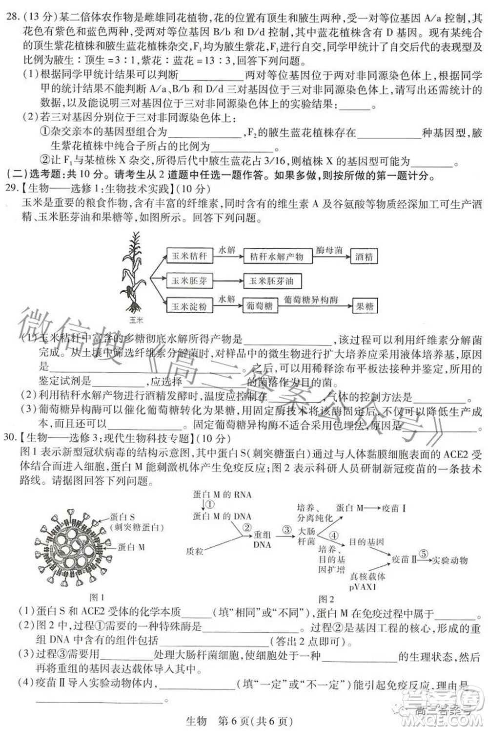 江西紅色十校2023屆高三第一次聯(lián)考生物試題及答案