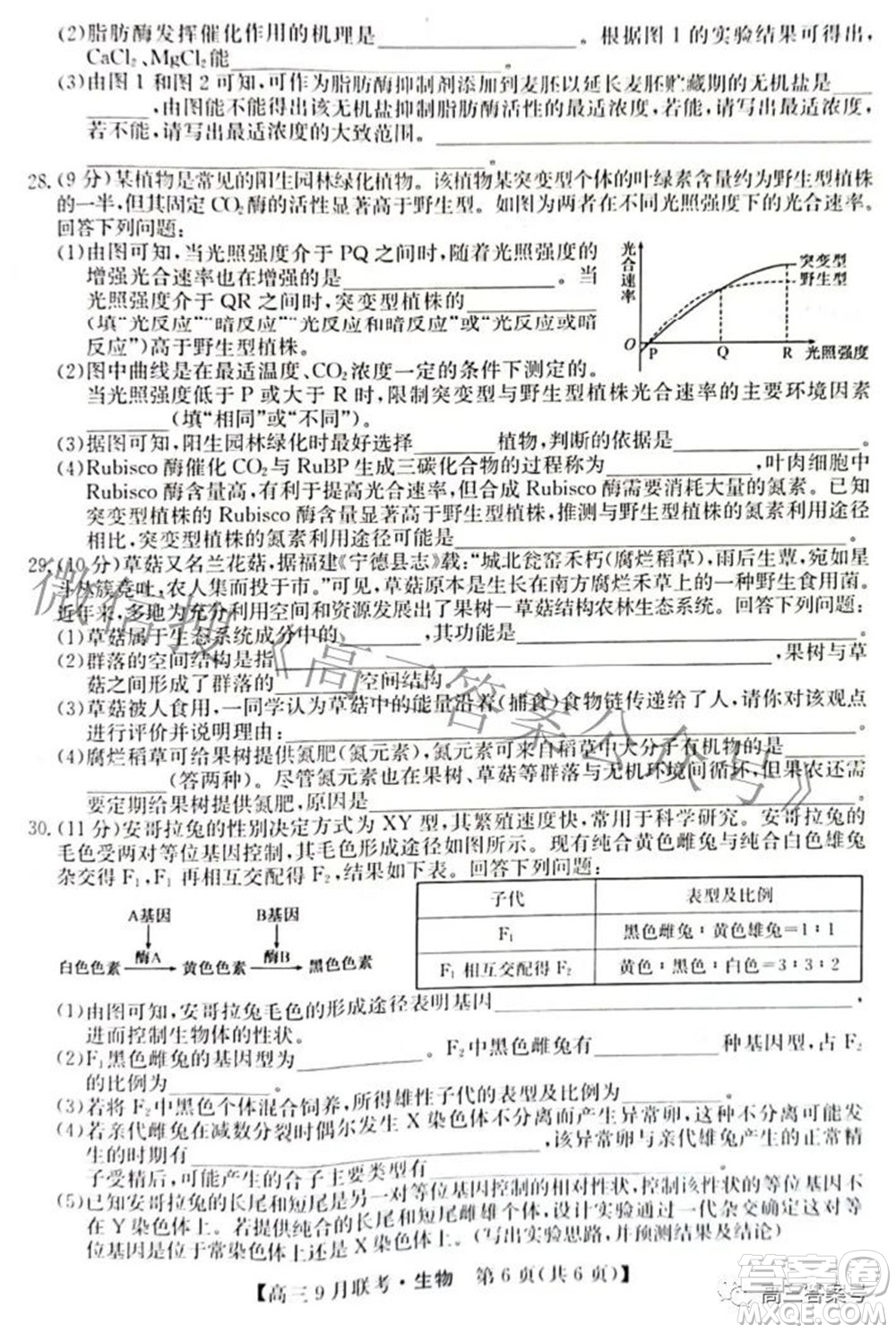 2023屆陜西省九師聯(lián)盟高三9月聯(lián)考生物試題及答案