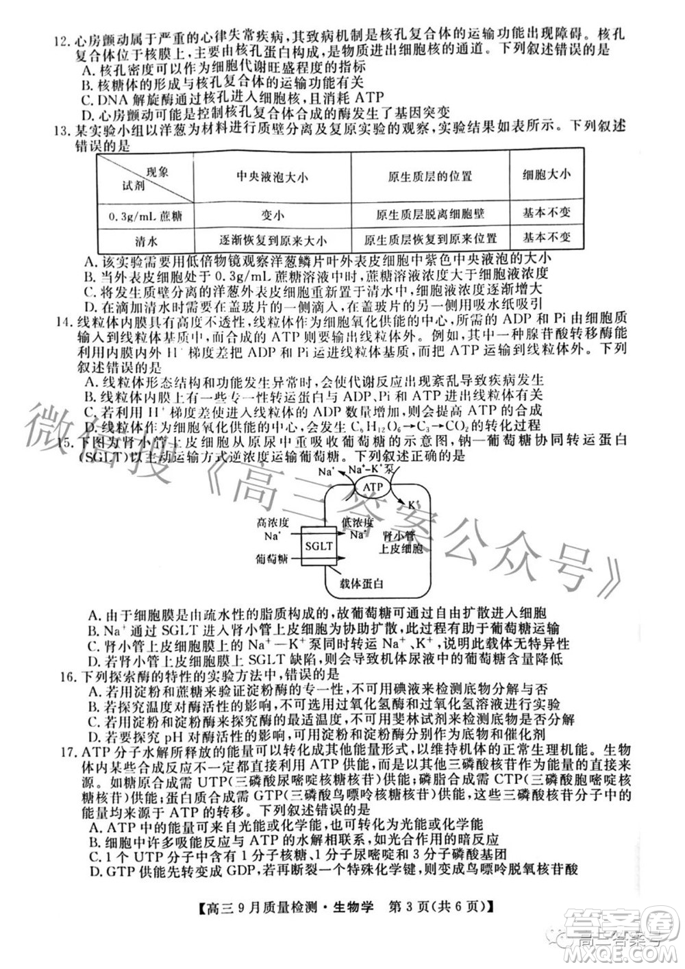 金科大聯(lián)考2022-2023學年度高三9月質量檢測生物學試題及答案