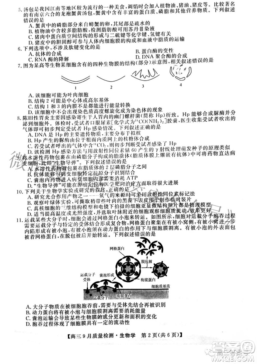 金科大聯(lián)考2022-2023學年度高三9月質量檢測生物學試題及答案