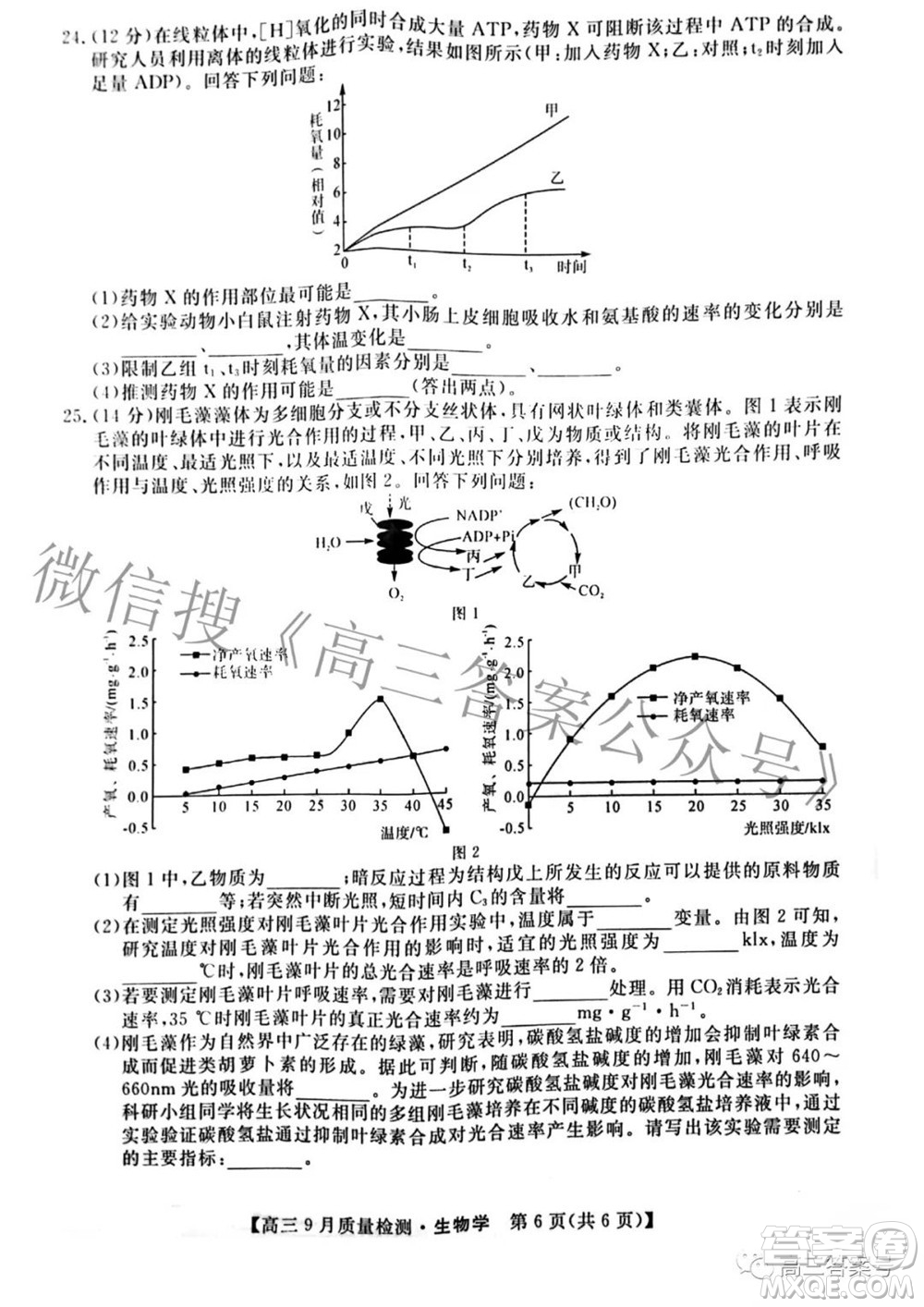 金科大聯(lián)考2022-2023學年度高三9月質量檢測生物學試題及答案