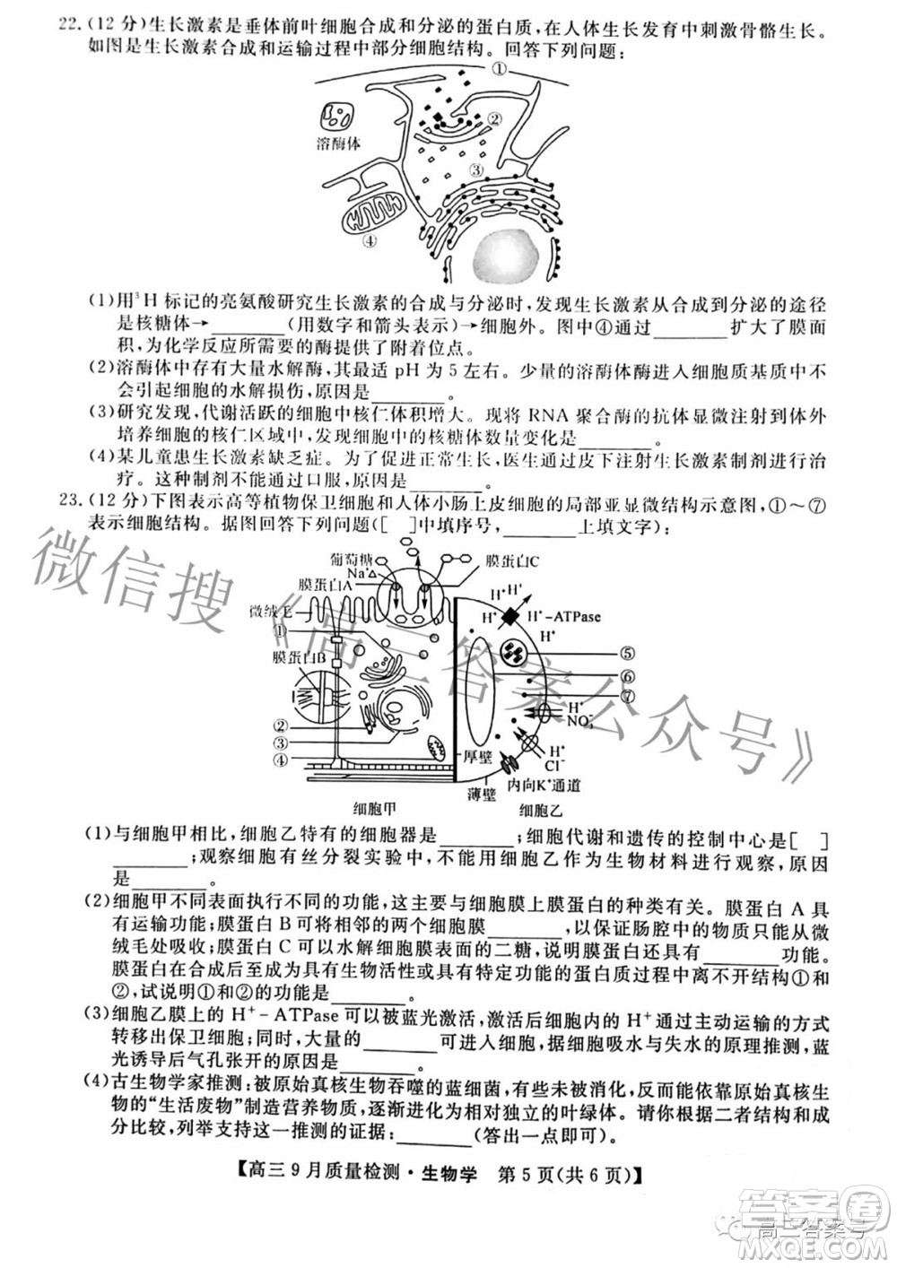 金科大聯(lián)考2022-2023學年度高三9月質量檢測生物學試題及答案