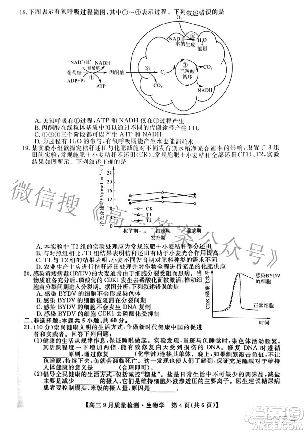 金科大聯(lián)考2022-2023學年度高三9月質量檢測生物學試題及答案