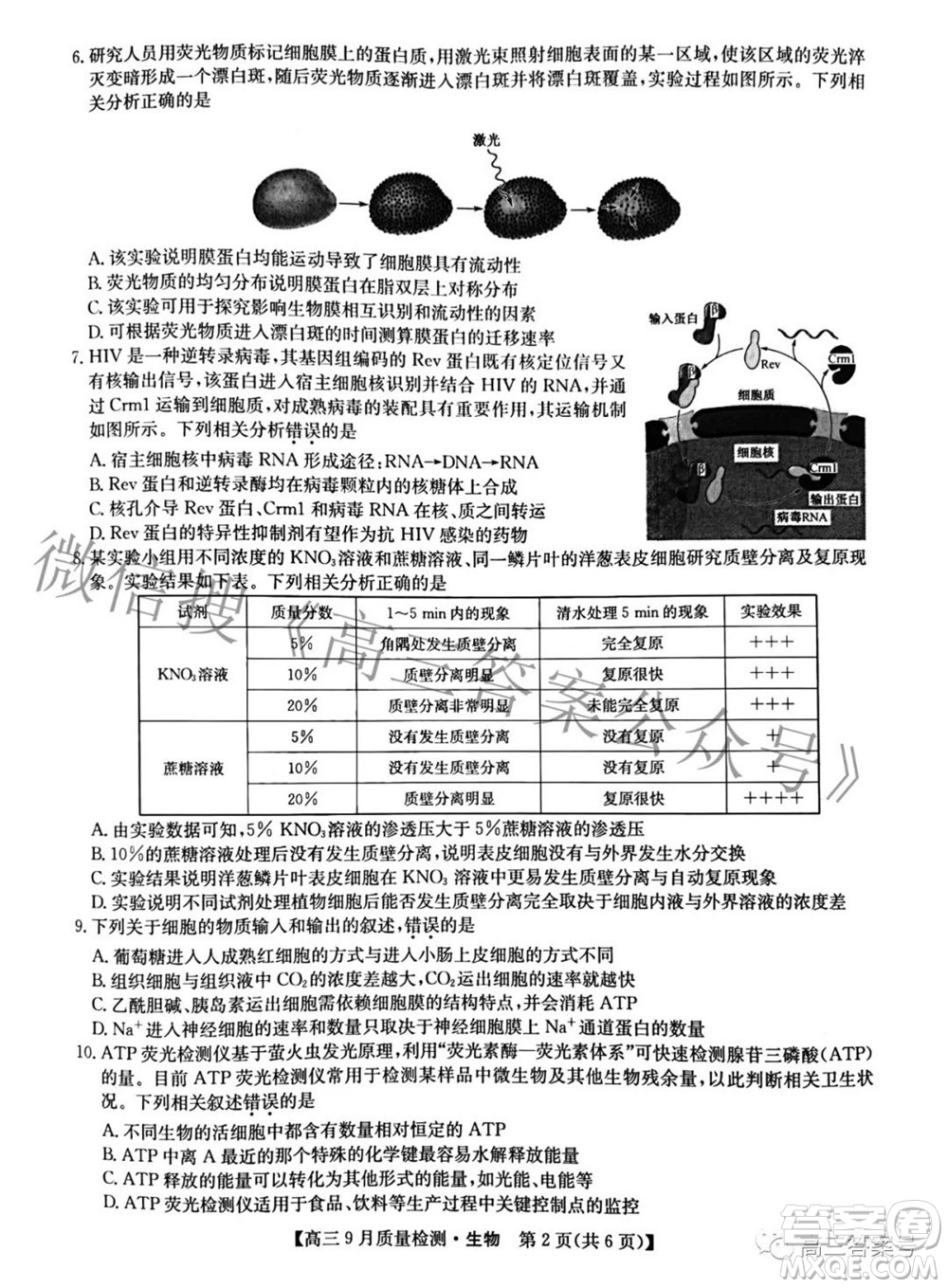 2023屆九師聯(lián)盟新高考高三9月質(zhì)量檢測生物試題及答案