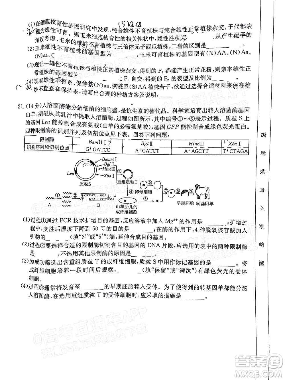 2023屆廣東金太陽(yáng)高三9月聯(lián)考生物試題及答案