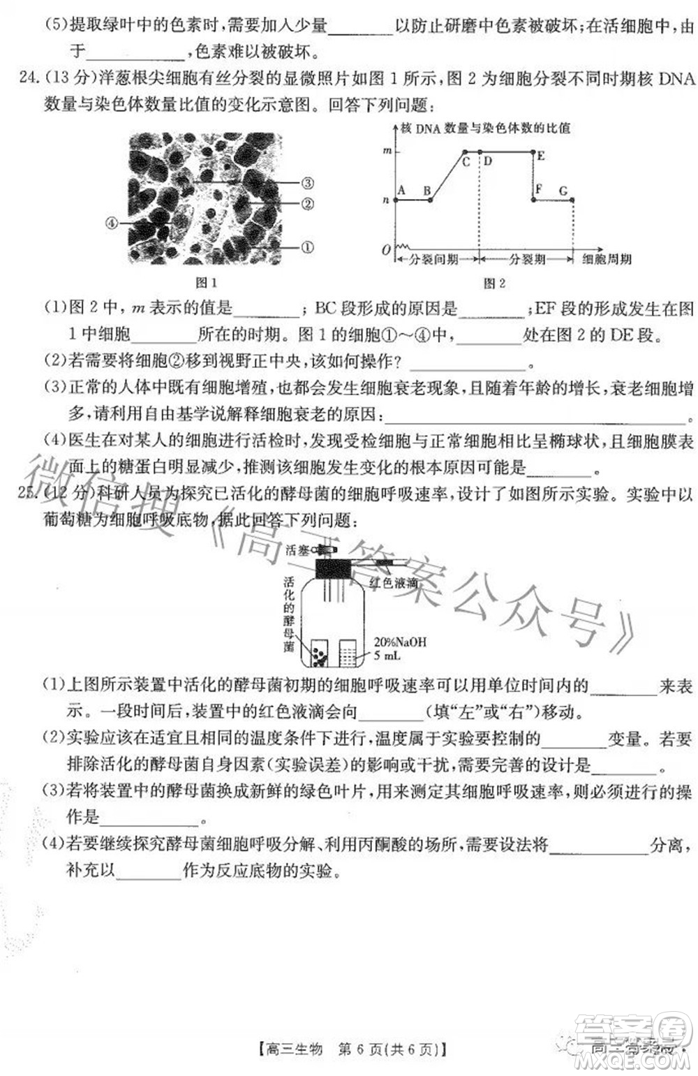 2023屆貴州金太陽高三9月聯(lián)考生物試題及答案