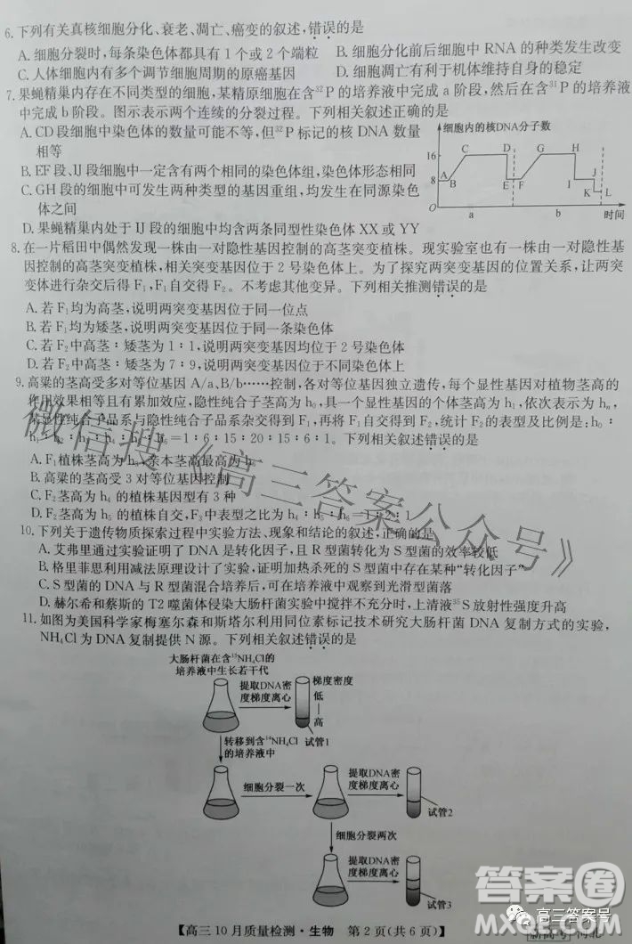 2023屆河北九師聯(lián)盟新高考高三10月質(zhì)量檢測(cè)生物試題及答案