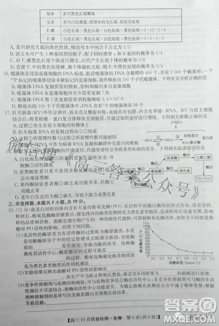 2023屆河北九師聯(lián)盟新高考高三10月質(zhì)量檢測(cè)生物試題及答案