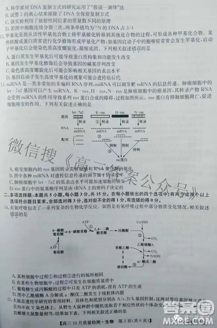 2023屆河北九師聯(lián)盟新高考高三10月質(zhì)量檢測(cè)生物試題及答案