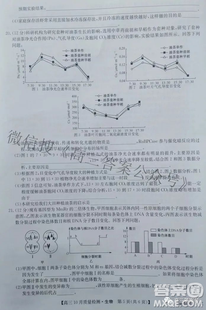 2023屆河北九師聯(lián)盟新高考高三10月質(zhì)量檢測(cè)生物試題及答案