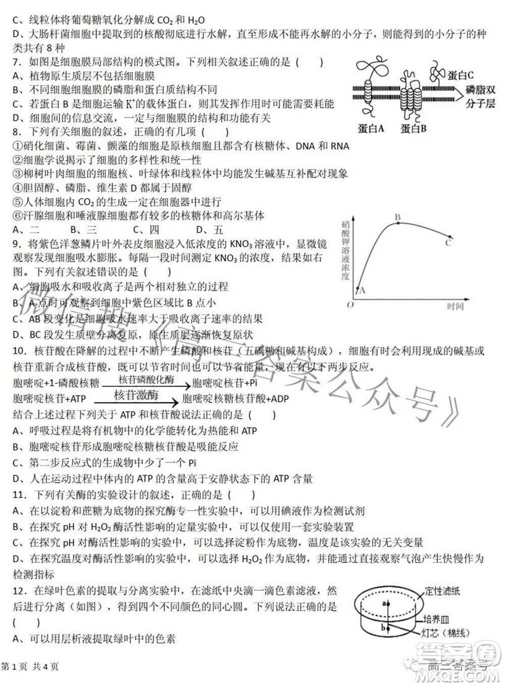 江西省六校2023屆高三10月聯(lián)考生物試題及答案