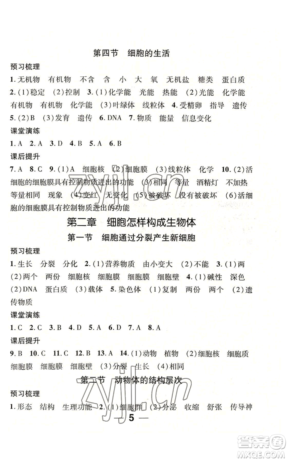 江西教育出版社2022精英新課堂三點(diǎn)分層作業(yè)七年級上冊生物人教版參考答案