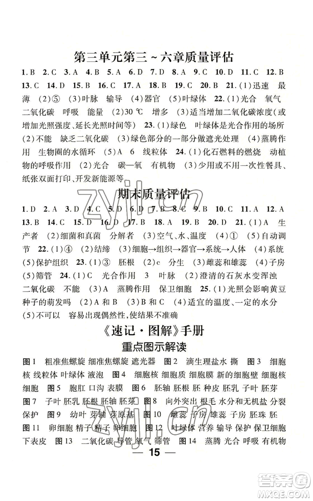 江西教育出版社2022精英新課堂三點(diǎn)分層作業(yè)七年級上冊生物人教版參考答案