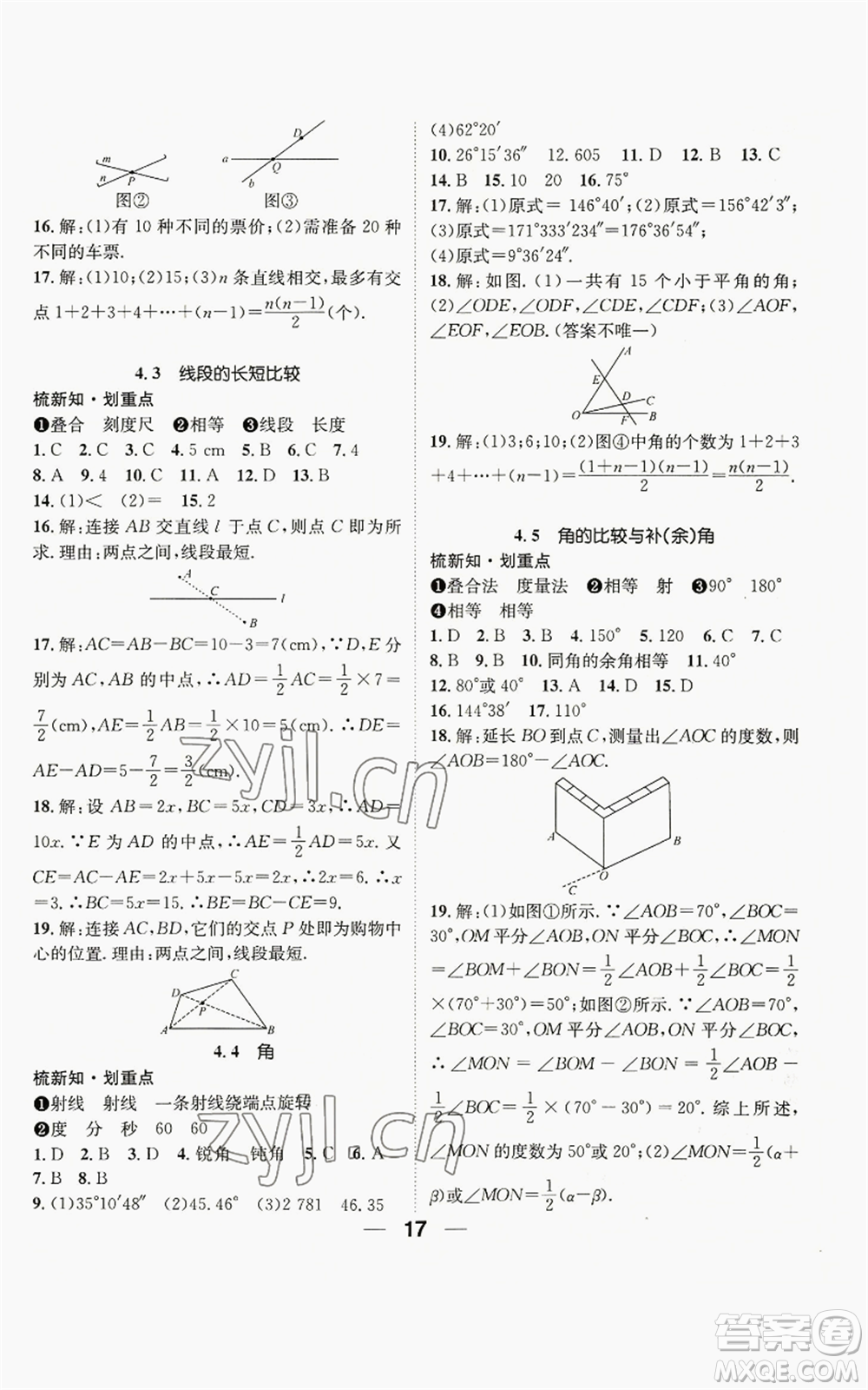 陽光出版社2022精英新課堂七年級上冊數(shù)學滬科版參考答案