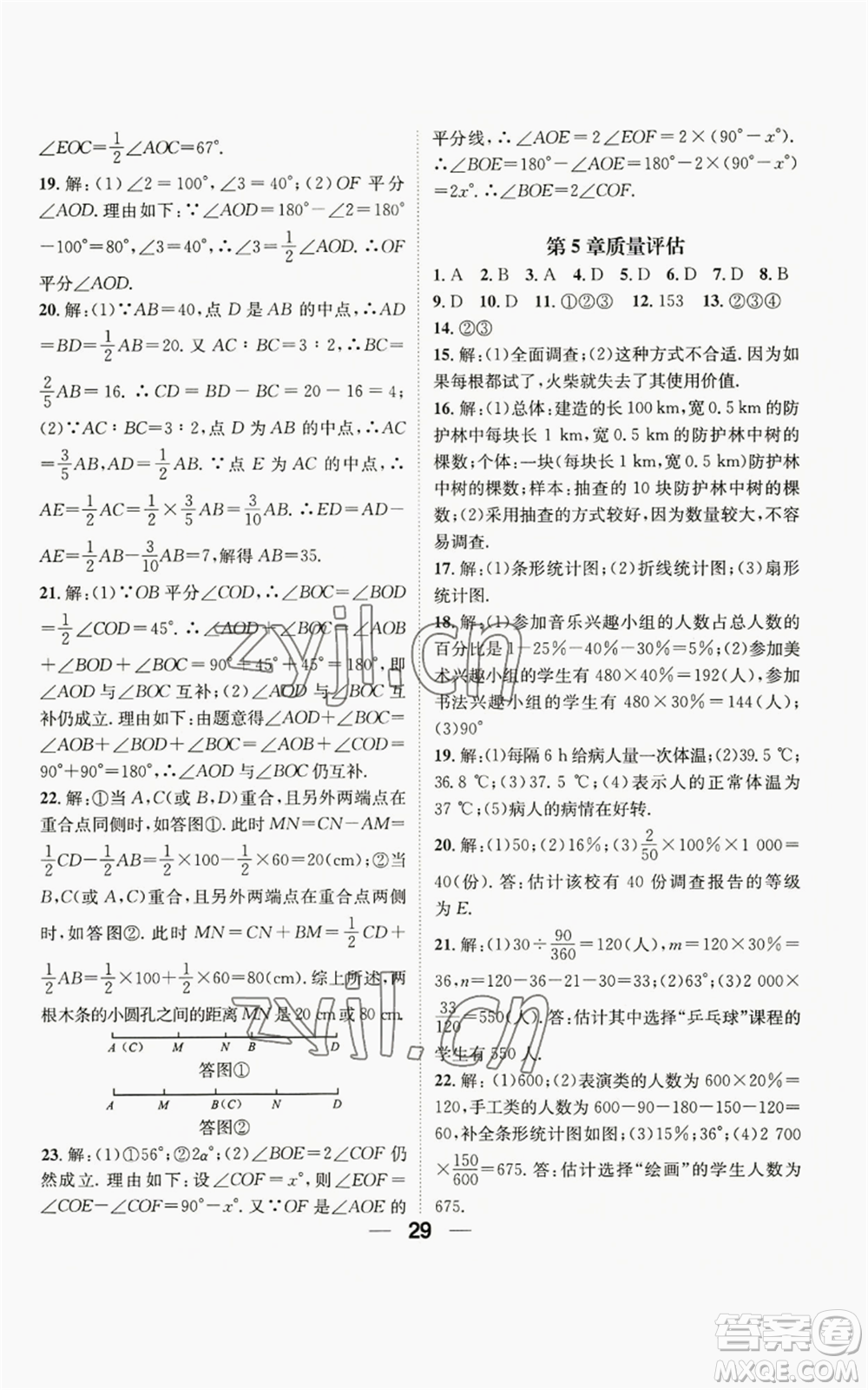 陽光出版社2022精英新課堂七年級上冊數(shù)學滬科版參考答案