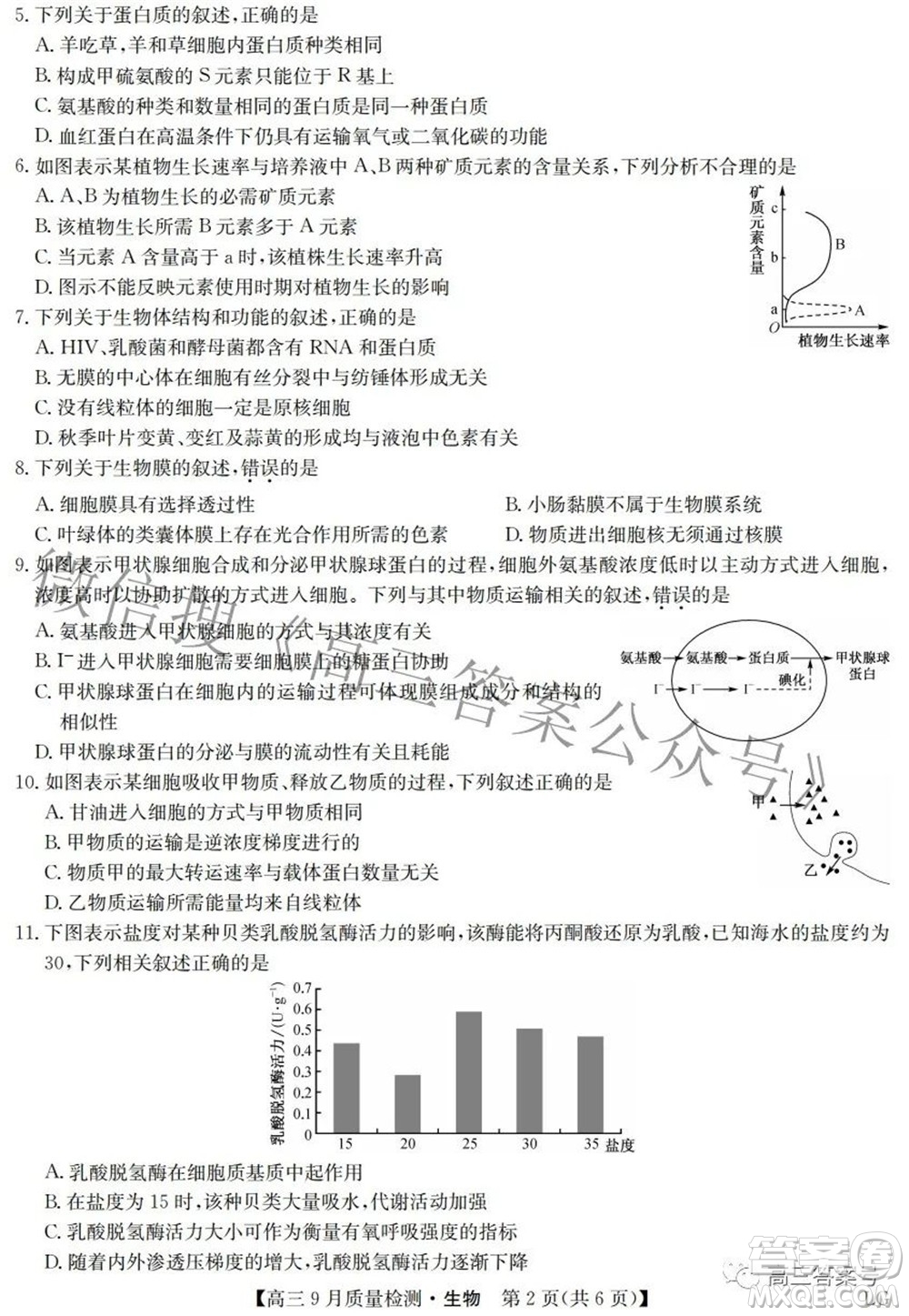 2023屆九師聯(lián)盟高三9月質(zhì)量檢測鞏固卷LG生物試題及答案