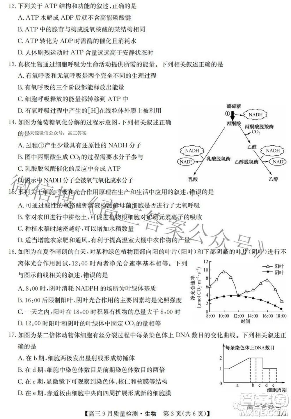 2023屆九師聯(lián)盟高三9月質(zhì)量檢測鞏固卷LG生物試題及答案