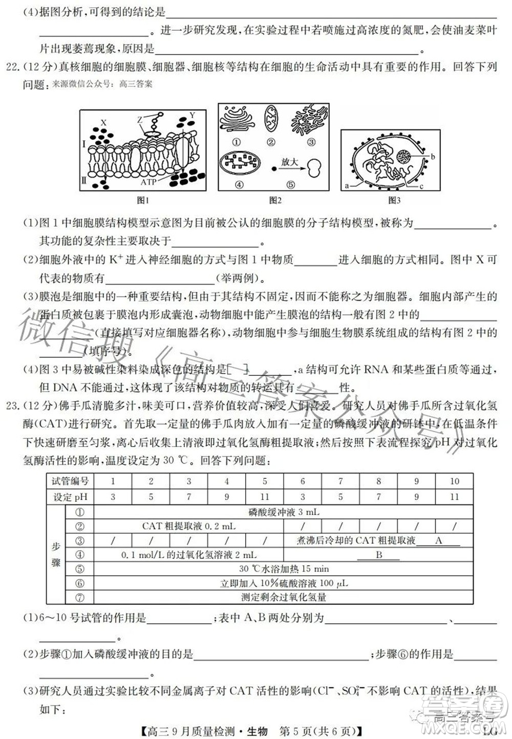 2023屆九師聯(lián)盟高三9月質(zhì)量檢測鞏固卷LG生物試題及答案