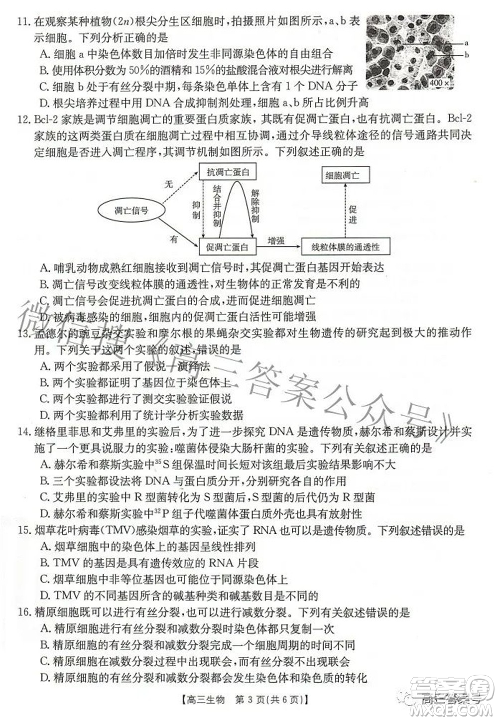 2023屆湖北高三百校聯(lián)考生物試題及答案