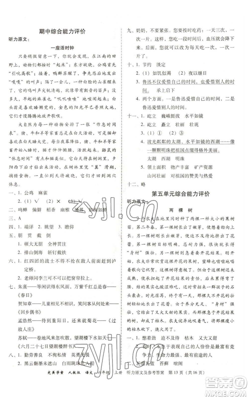 廣東人民出版社2022完美學(xué)案六年級上冊語文人教版參考答案