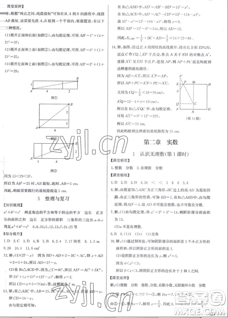 北京師范大學(xué)出版社2022秋課堂精練數(shù)學(xué)八年級上冊北師大版江西專版答案