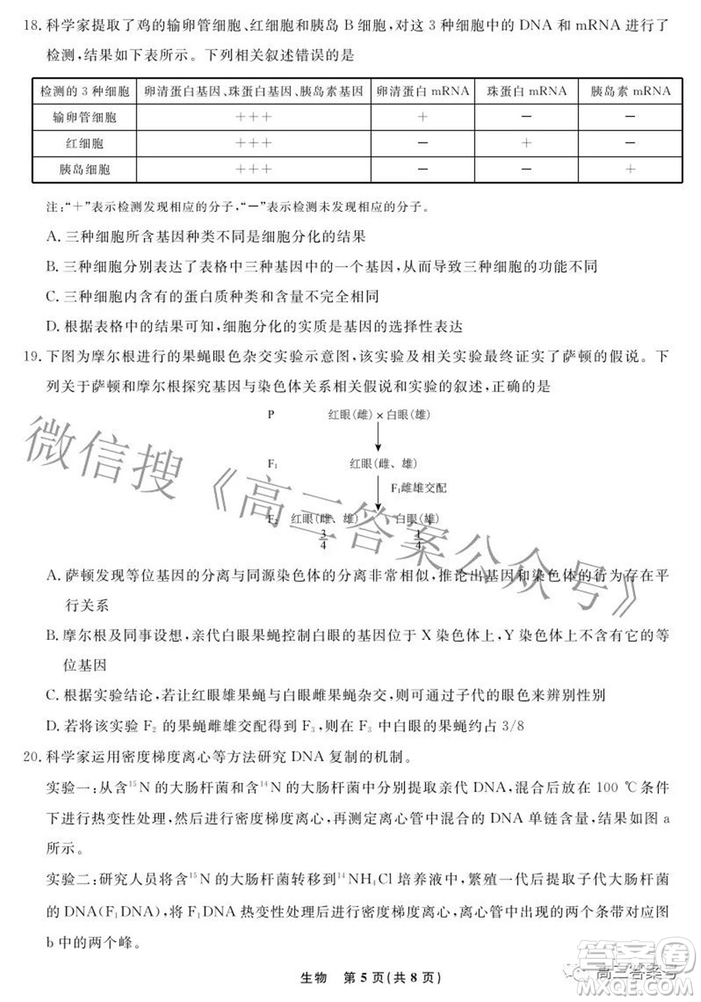 遼寧省名校聯盟2022年高三10月份聯合考試生物試題及答案