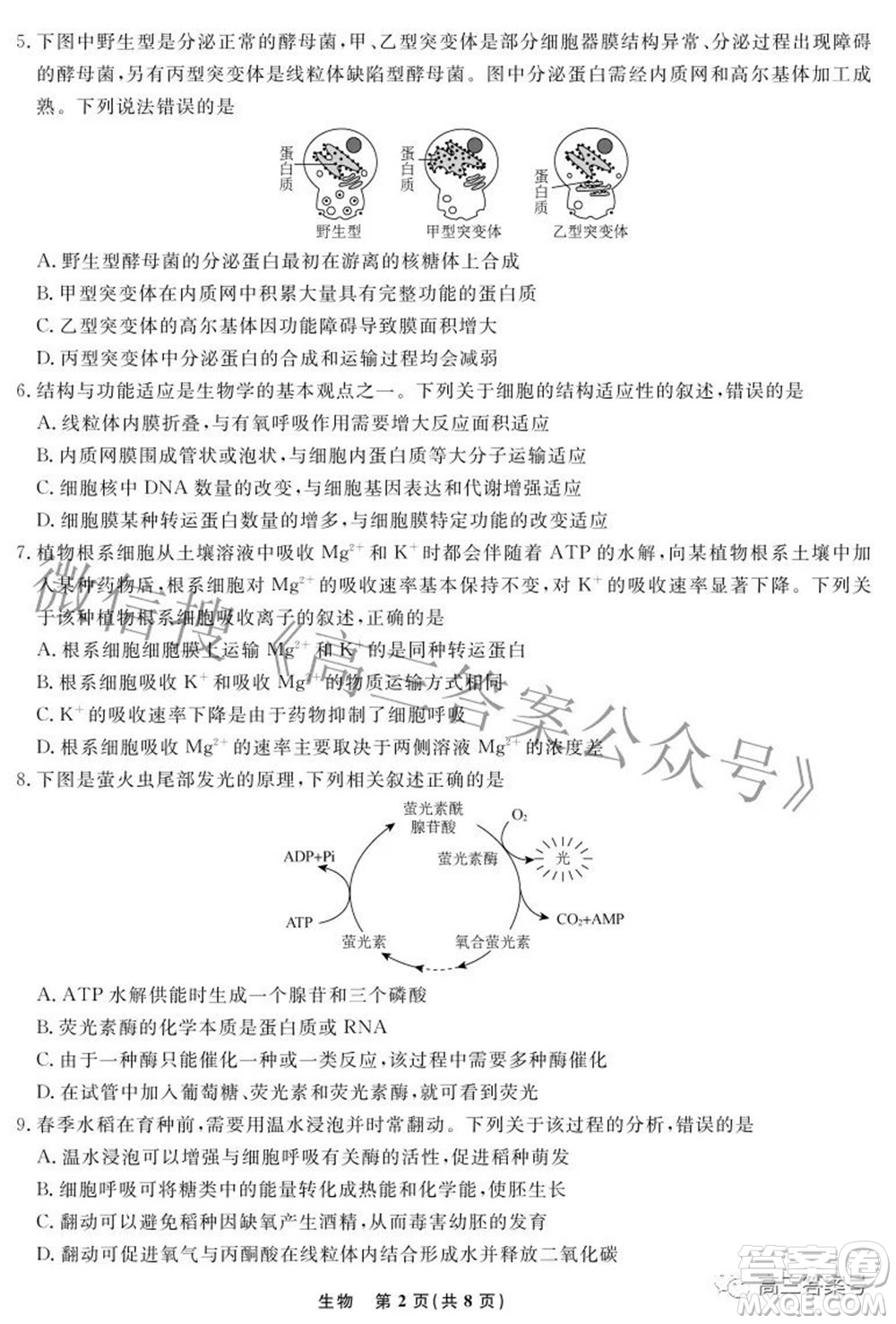 遼寧省名校聯盟2022年高三10月份聯合考試生物試題及答案